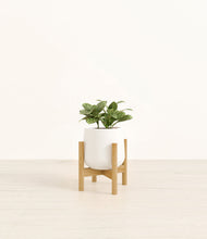 Load image into Gallery viewer, White stand:bamboo
