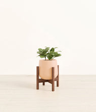 Load image into Gallery viewer, Gentle Pink stand:walnut
