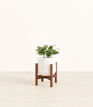 Load image into Gallery viewer, White stand:walnut
