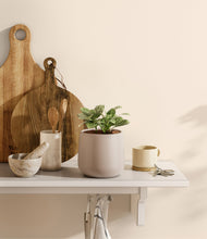 Load image into Gallery viewer, Eternal Gray
