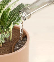 Load image into Gallery viewer, Glossy Pink stand:all
