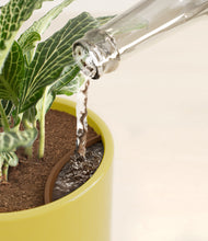 Load image into Gallery viewer, Key Lime Yellow stand:all
