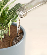 Load image into Gallery viewer, Misty Blue stand:all
