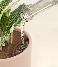 Load image into Gallery viewer, Sandy Pink stand:all
