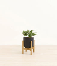 Load image into Gallery viewer, Stone Black stand:bamboo
