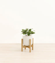 Load image into Gallery viewer, Cotton White stand:bamboo
