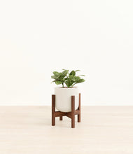 Load image into Gallery viewer, Cotton White stand:walnut
