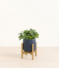 Load image into Gallery viewer, Deep Navy stand:bamboo
