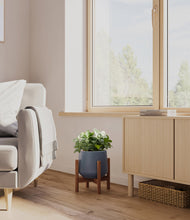 Load image into Gallery viewer, Deep Navy stand:walnut
