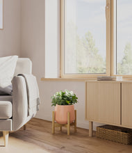 Load image into Gallery viewer, Calm Rose stand:bamboo
