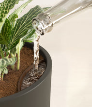 Load image into Gallery viewer, Dark Olive stand:all
