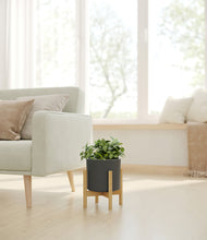 Load image into Gallery viewer, Dark Olive stand:bamboo
