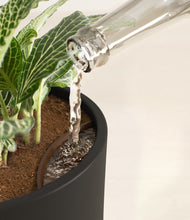 Load image into Gallery viewer, Black stand:all
