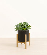 Load image into Gallery viewer, Black stand:bamboo
