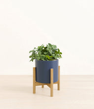 Load image into Gallery viewer, Deep Navy stand:bamboo
