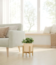 Load image into Gallery viewer, Cream stand:bamboo

