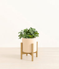 Load image into Gallery viewer, Cream stand:bamboo
