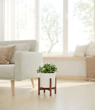 Load image into Gallery viewer, White stand:walnut
