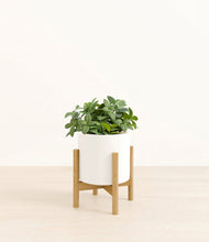 Load image into Gallery viewer, White stand:bamboo
