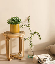 Load image into Gallery viewer, Mustard
