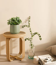 Load image into Gallery viewer, Turquoise
