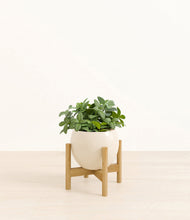 Load image into Gallery viewer, Shiny EggWhite stand:bamboo
