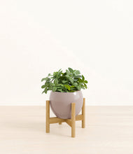 Load image into Gallery viewer, Winter Clouds stand:bamboo
