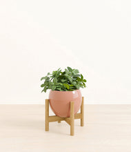 Load image into Gallery viewer, Calm Rose stand:bamboo
