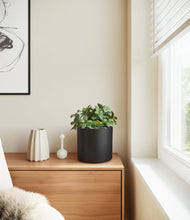 Load image into Gallery viewer, Black
