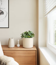 Load image into Gallery viewer, Cream
