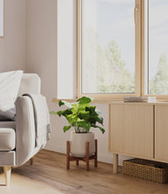 Load image into Gallery viewer, Eternal Gray stand:walnut
