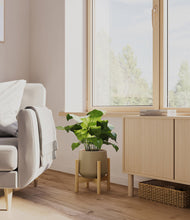 Load image into Gallery viewer, Olive stand:bamboo
