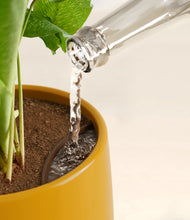 Load image into Gallery viewer, Mustard stand:all
