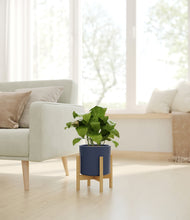 Load image into Gallery viewer, Deep Navy stand:bamboo
