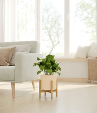 Load image into Gallery viewer, Cream stand:bamboo
