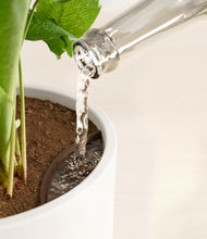 Load image into Gallery viewer, White
