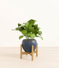 Load image into Gallery viewer, Deep Navy stand:bamboo
