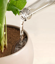 Load image into Gallery viewer, Desert Brown stand:all
