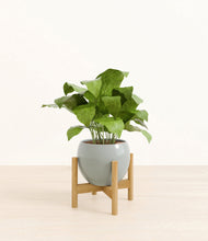 Load image into Gallery viewer, Deep Ocean stand:bamboo
