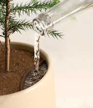 Load image into Gallery viewer, Almond Green stand:all
