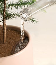 Load image into Gallery viewer, Gentle Pink stand:all
