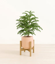 Load image into Gallery viewer, Gentle Pink stand:bamboo

