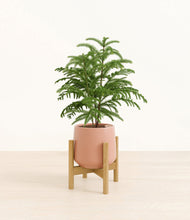 Load image into Gallery viewer, Calm Rose stand:bamboo
