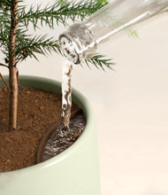 Load image into Gallery viewer, Turquoise stand:all
