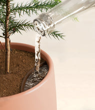 Load image into Gallery viewer, Calm Rose stand:all
