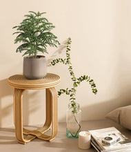 Load image into Gallery viewer, Eternal Gray
