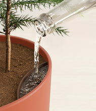 Load image into Gallery viewer, Earth Red stand:all
