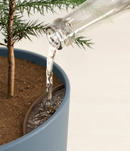 Load image into Gallery viewer, Iron Gray stand:all
