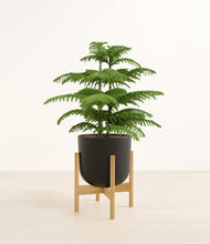 Load image into Gallery viewer, Stone Black stand:bamboo
