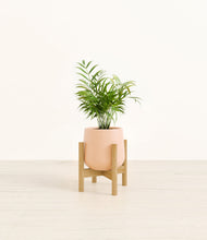 Load image into Gallery viewer, Gentle Pink stand:bamboo
